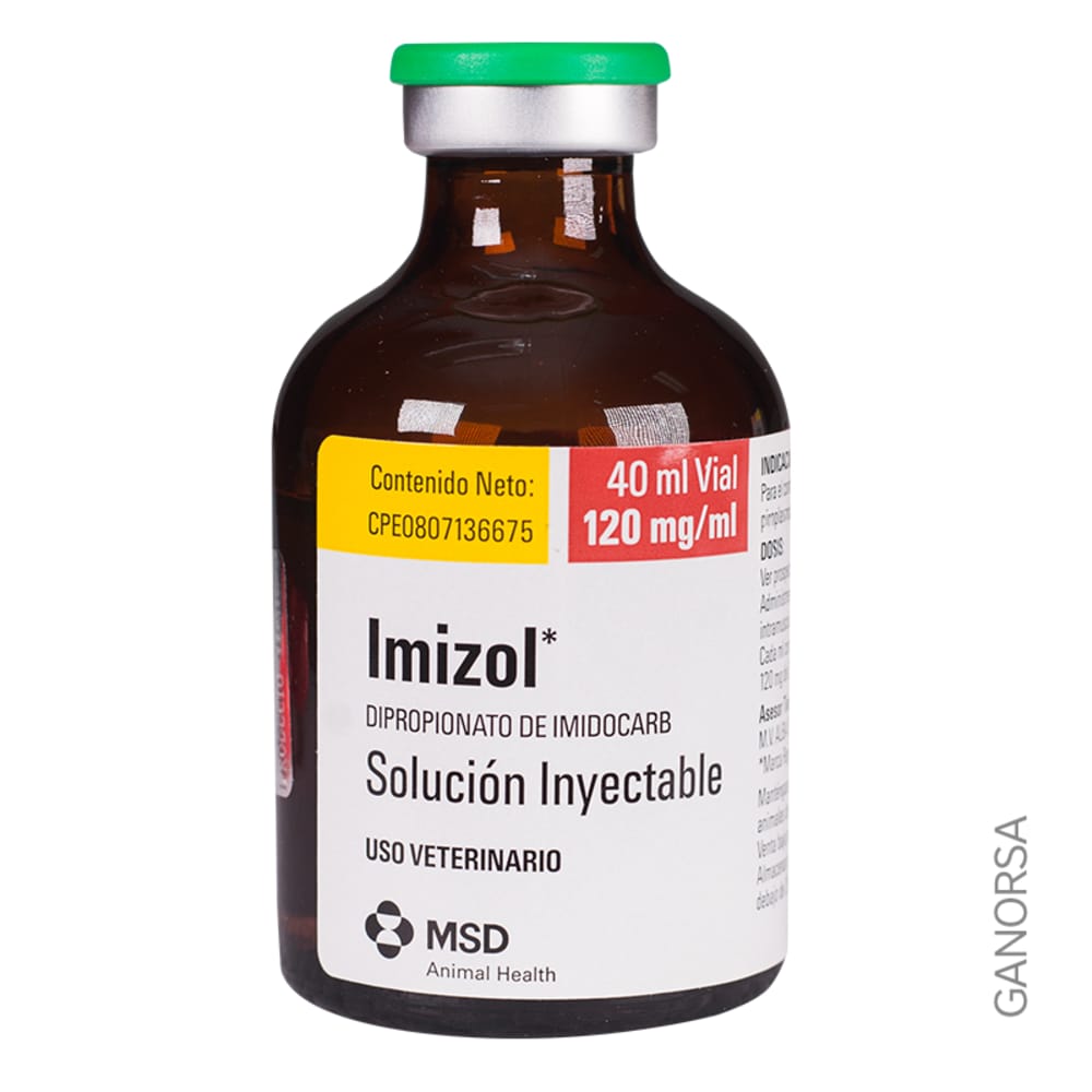 Imagen de IMIZOL 40 ML.
