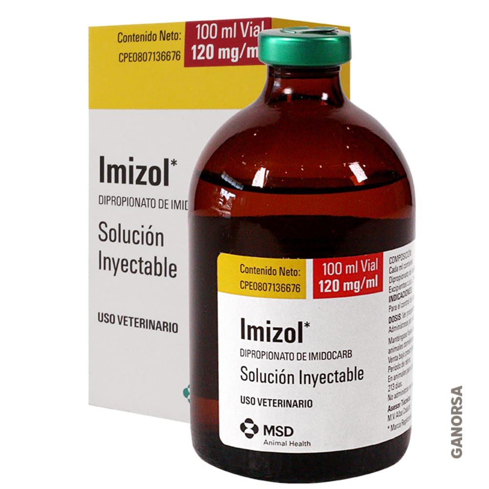 Imagen de IMIZOL 100 ML.