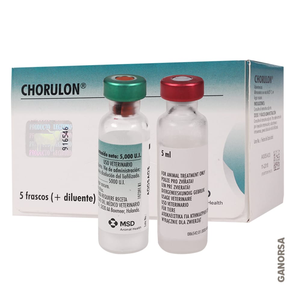 Imagen de CHORULON 5 x 5 ML