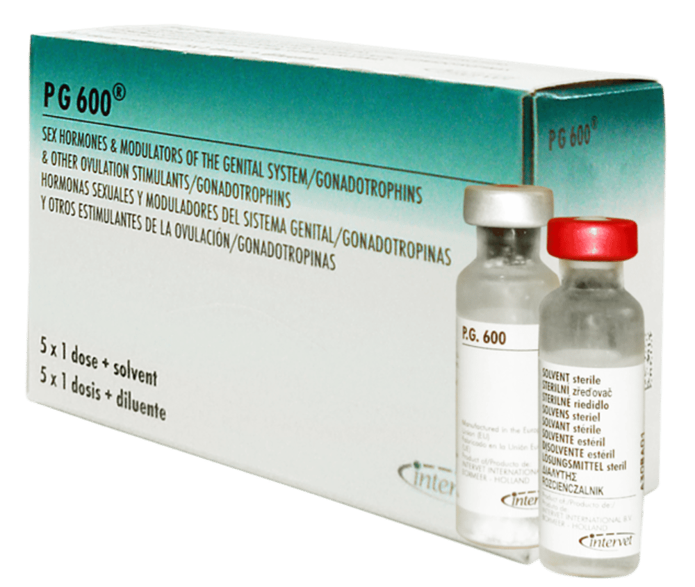 Imagen de PG-600 5 x 5 ML.