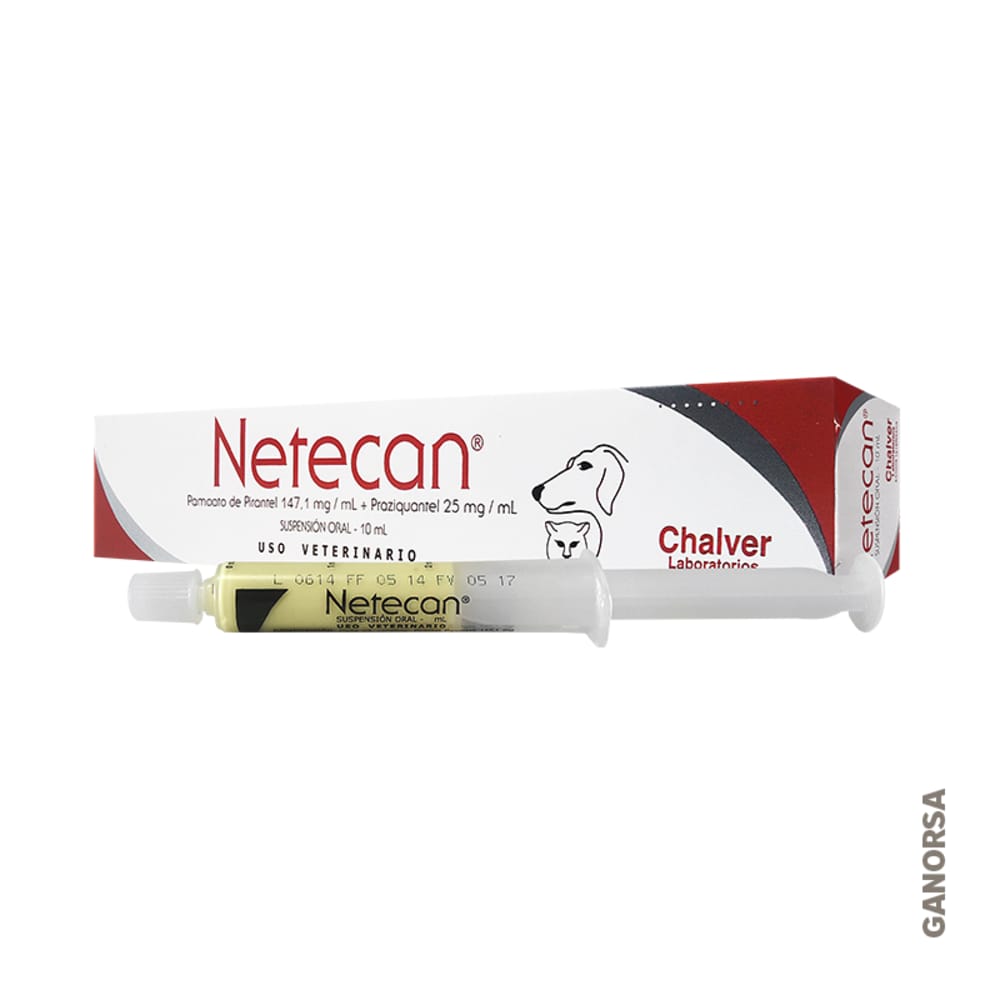Imagen de NETECAN JERINGA X 10 ML