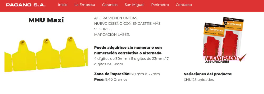 Imagen de ARETE CARANEXT MAXI CELESTE 25 U.