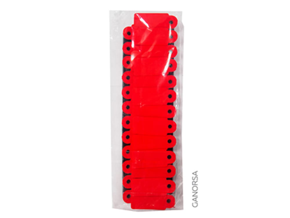 Imagen de ARETE CARANEXT MINI ROJO 25 U