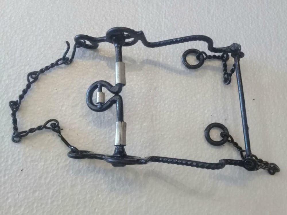 Imagen de FRENO PARA CABALLO DE HIERRO