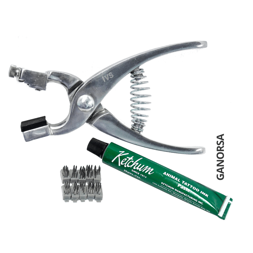 Imagen de KIT TATUADORA 4 DIGITOS 5/16" IVS