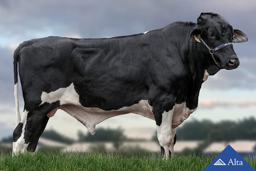 Imagen de GIROLANDO ESPARTANO GOPRO FABULA GUIMA