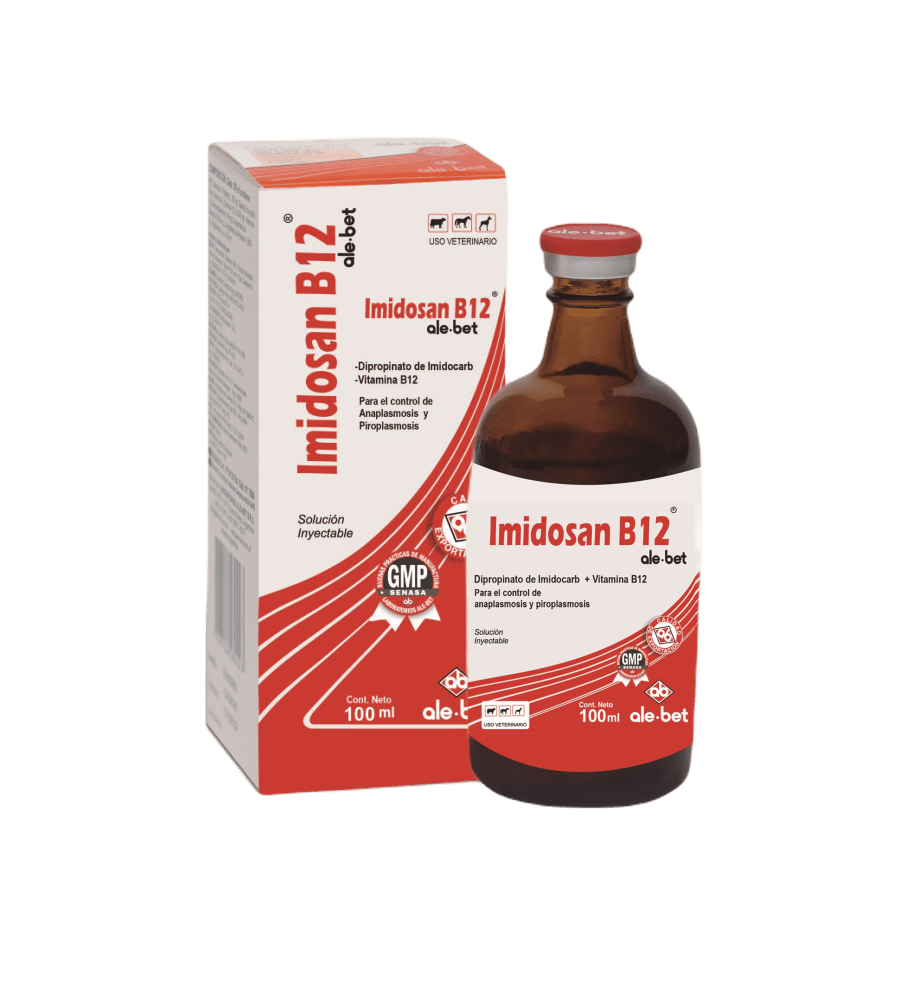 Imagen de IMIDOSAN B12 X 100 ML
