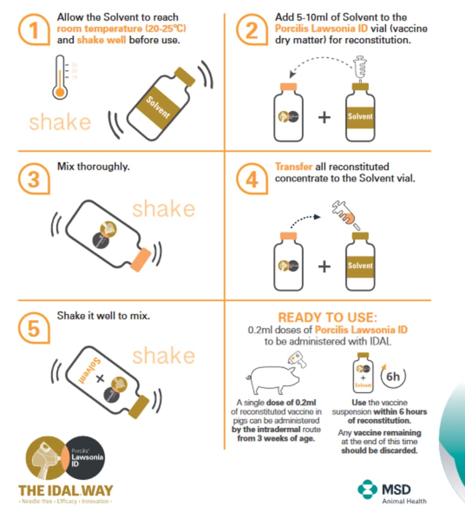 Imagen de SOLVENTE PORCILIS LAWSONIA ID X 20 ML