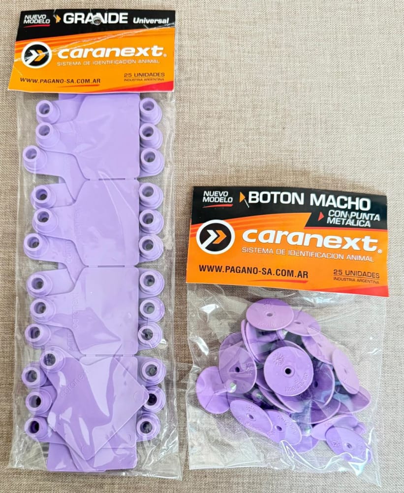 Imagen de ARETE CARANEXT GRANDE VIOLETA 25 UNI.