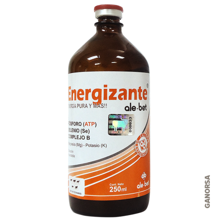 ENERGIZANTE ALEBET 250 ML
