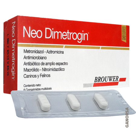 NEO DIMETROGIN 6 COMPRIMIDOS