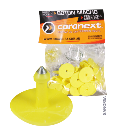 ARETE BOTON PORCINO AMARILLO 25 UDS.
