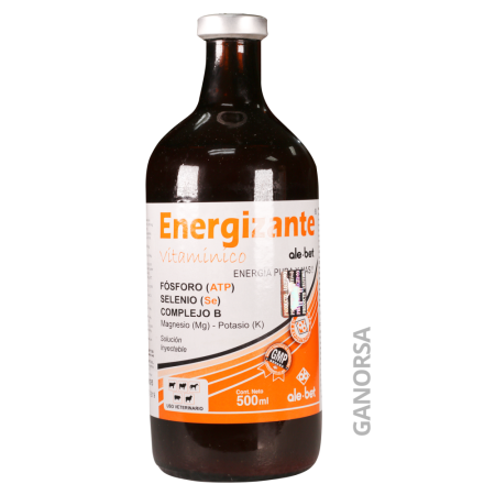 ENERGIZANTE ALEBET 500 ML