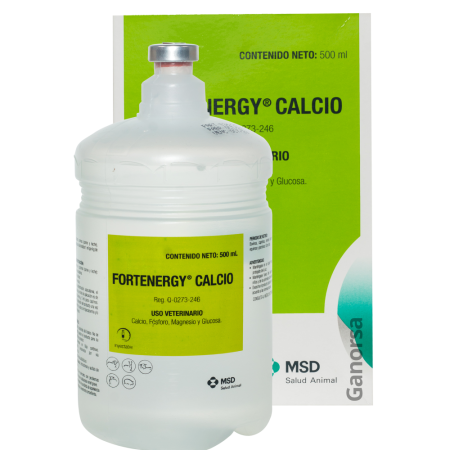FORTENERGY CALCIO X 500 ML