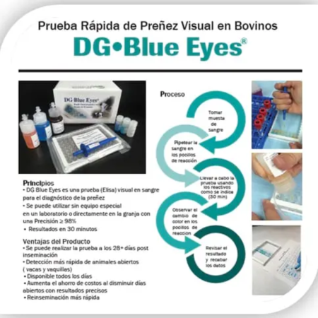 KIT PREÑEZ BLUE EYES