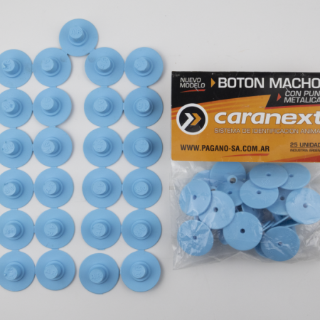 ARETE BOTON PORCINO CELESTE 25 UDS.