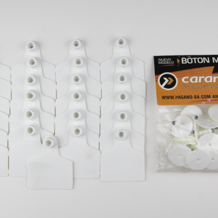 ARETE CARANEXT GRANDE BLANCO 25 U.