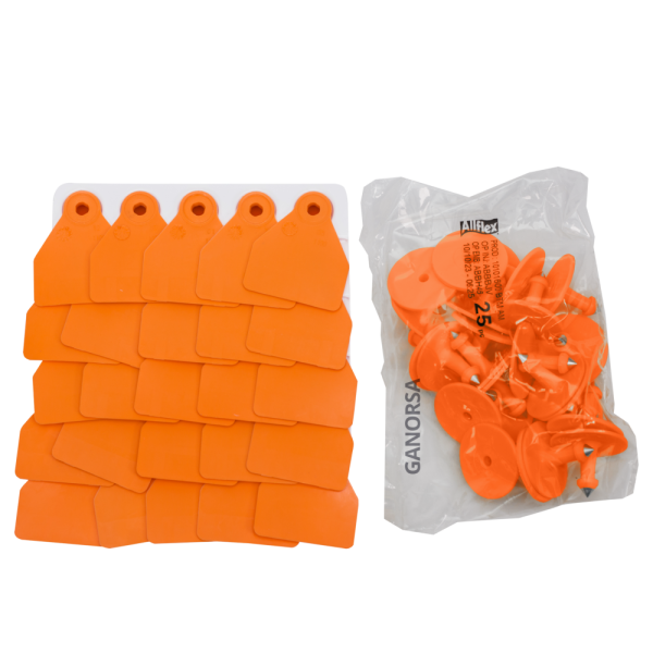 ARETE PEQ. ALLFLEX CERDOS-OVINOS NARANJA 25 UNI