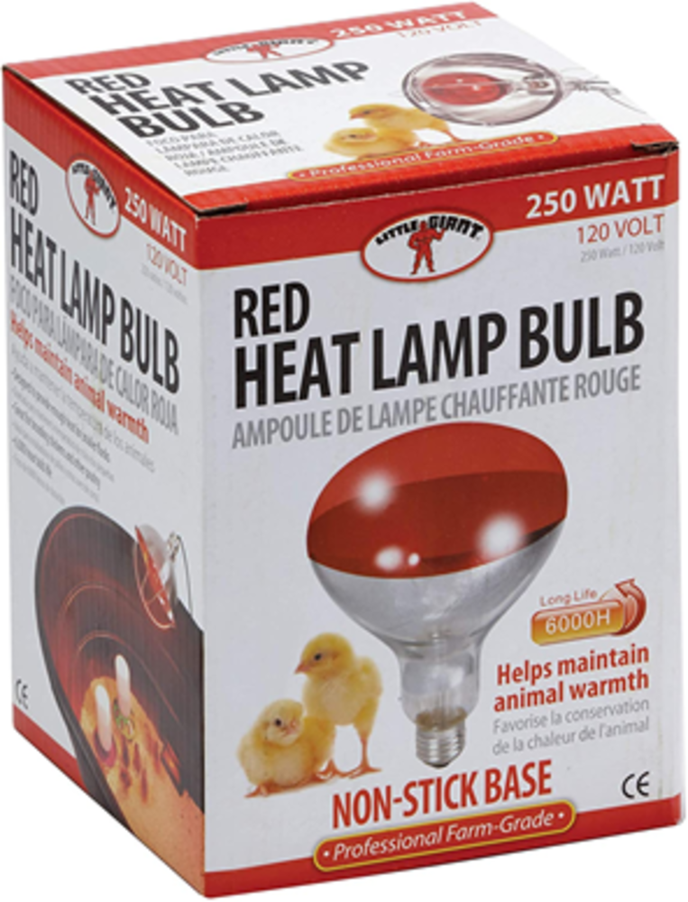 REFLECTOR INFRARROJO LITTLE GIANT 250 WATTS