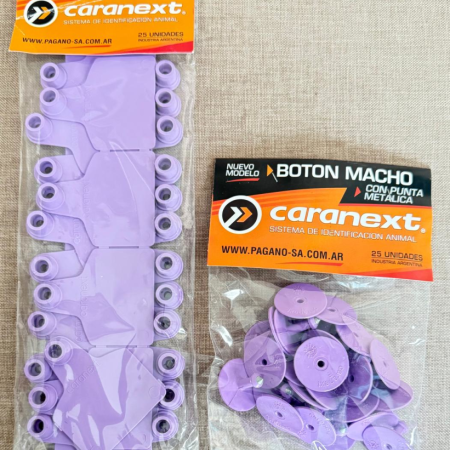 ARETE CARANEXT GRANDE VIOLETA 25 UNI.